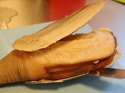 象拔蚌进到里面了怎么办？