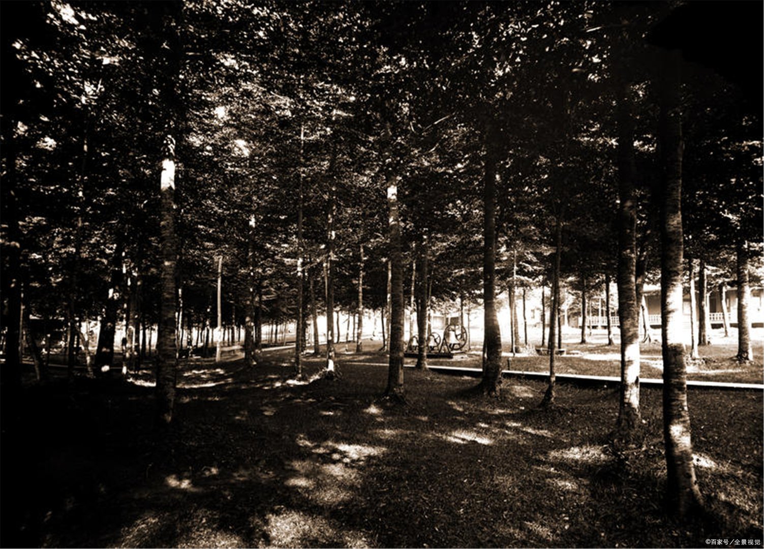 在学校里，你做过的最疯狂的事情是什么？