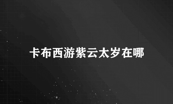 卡布西游紫云太岁在哪