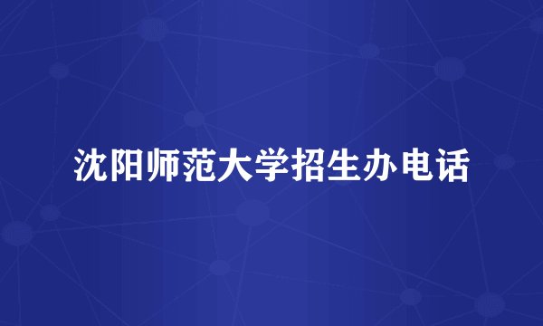 沈阳师范大学招生办电话