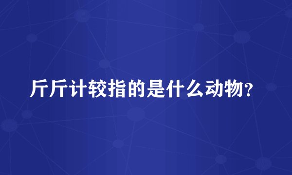 斤斤计较指的是什么动物？