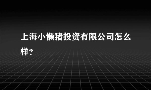 上海小懒猪投资有限公司怎么样？