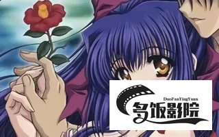 无月之颜第几集