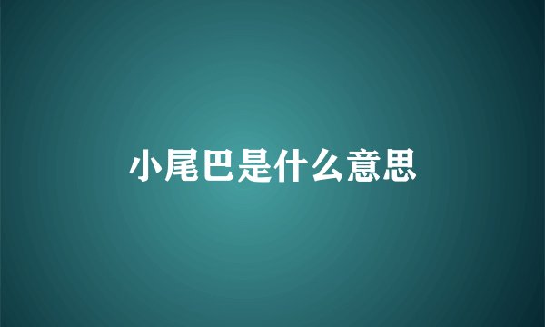 小尾巴是什么意思