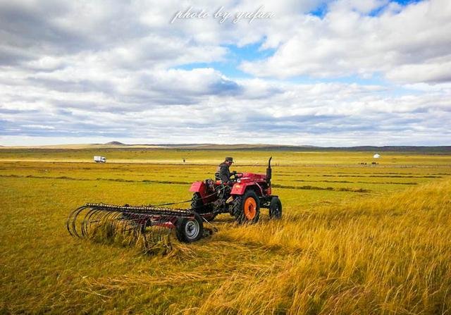 山东小伙国庆穿防护服给老丈人收玉米，这个假期你帮老家收秋了吗？