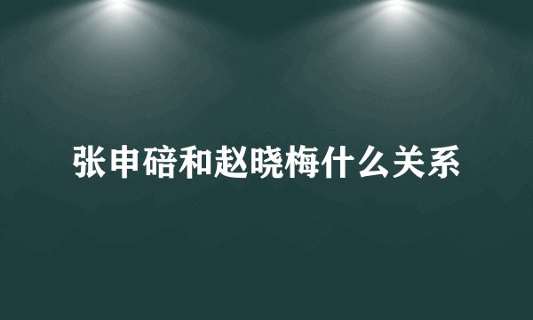 张申碚和赵晓梅什么关系