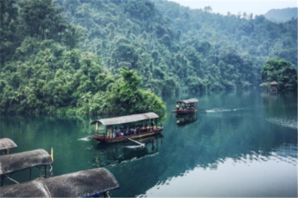 12省份进入中度老龄化，这是什么原因导致的？