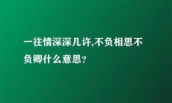 一往情深深几许,不负相思不负卿什么意思？
