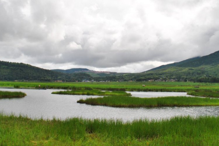网络上的润是什么意思