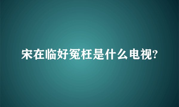 宋在临好冤枉是什么电视?