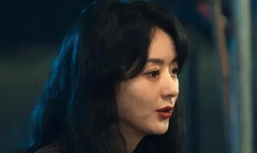 半夏和赵磊结局