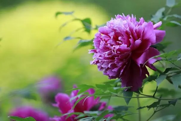 欧产日产国色天香区别视频