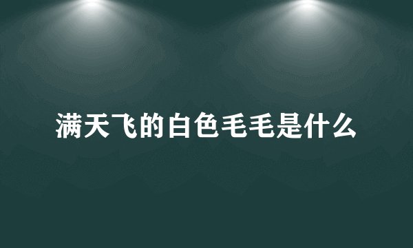 满天飞的白色毛毛是什么