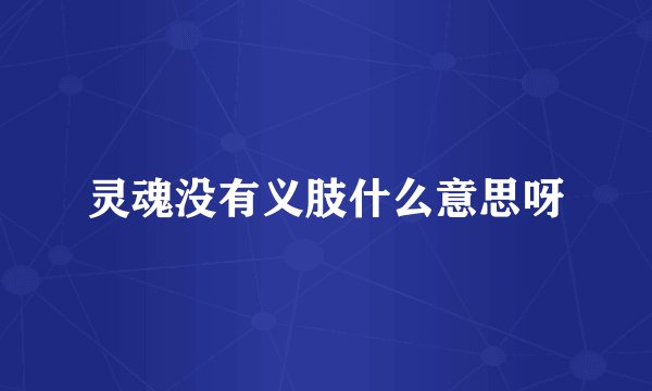 灵魂没有义肢什么意思呀