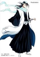 求朽木白哉的简介！！！！记住是简介！！！！！（要上传白哉和刀的图片）