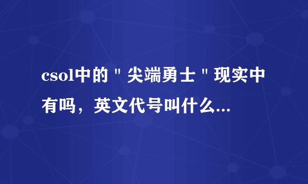 csol中的＂尖端勇士＂现实中有吗，英文代号叫什么，如果有的话简介发一下谢谢