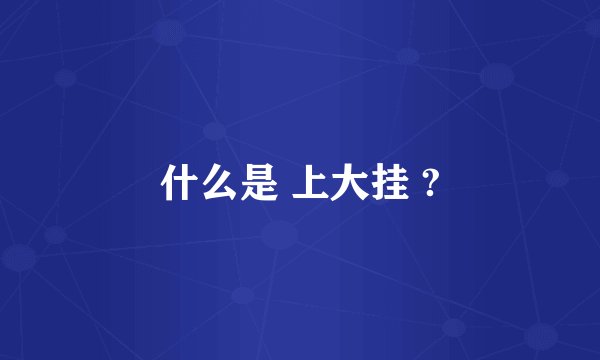 什么是 上大挂 ?