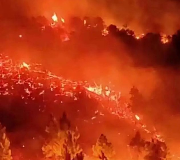 多地驰援湖南新田山火扑救，给当地造成了哪些损失？