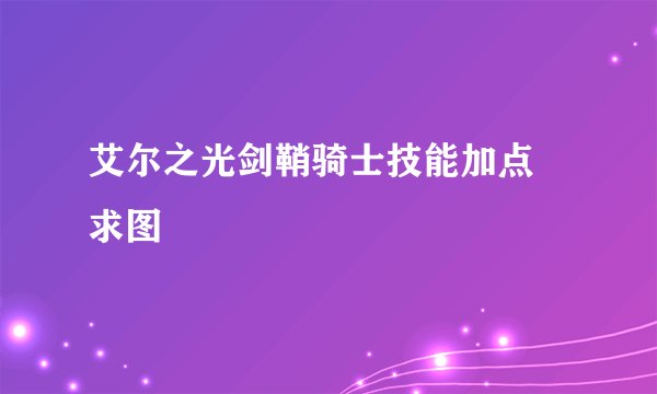 艾尔之光剑鞘骑士技能加点 求图