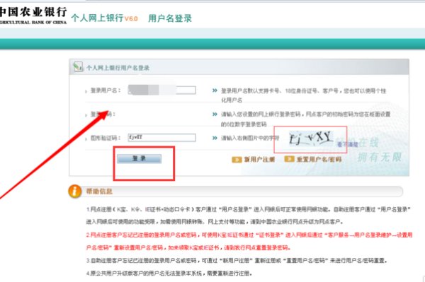 如何登录中国农业银行的个人网上银行？