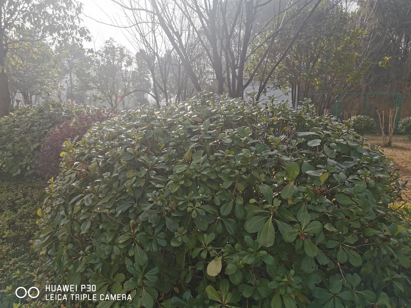 和老公朋友发生过关系，现在他总是有意无意地纠缠我，我也怕事情闹大被发现，该怎么办？