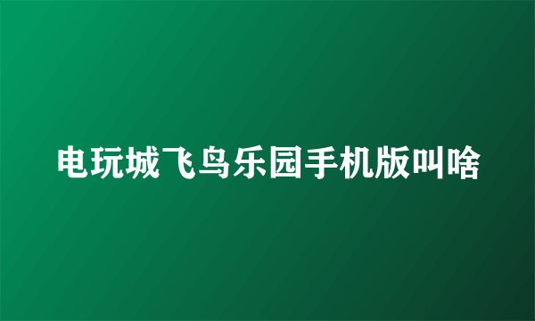 电玩城飞鸟乐园手机版叫啥