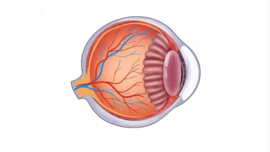 超视力一般多少钱？
