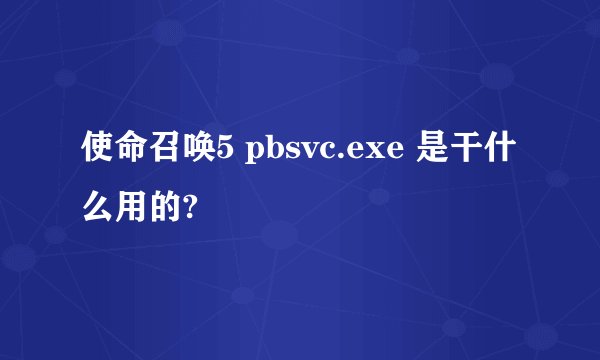 使命召唤5 pbsvc.exe 是干什么用的?