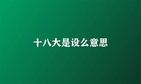 十八大是设么意思