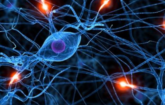 英国一女子对所有食物过敏是天生的还是后天造成的?