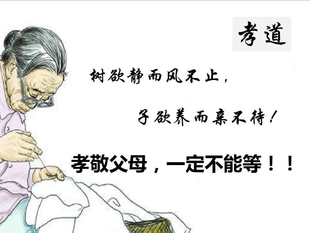 树欲静而风不止，子欲养而亲不待，啥意思？