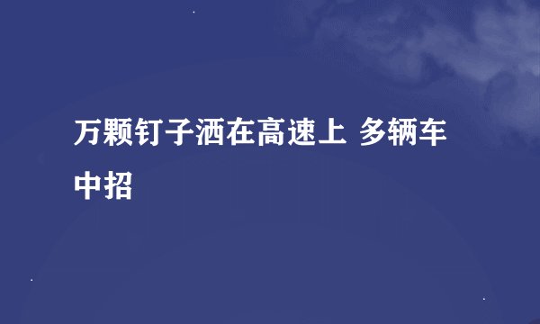 万颗钉子洒在高速上 多辆车中招
