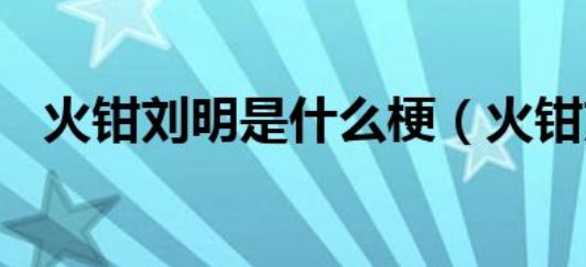 火钳刘明是什么梗