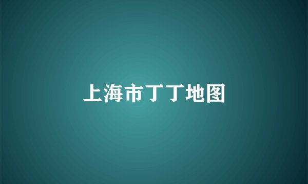 上海市丁丁地图