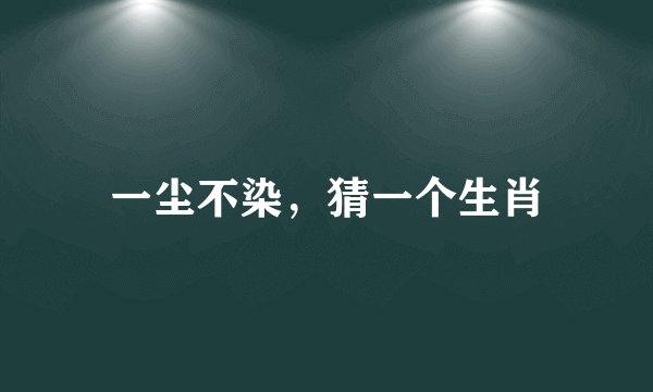 一尘不染，猜一个生肖