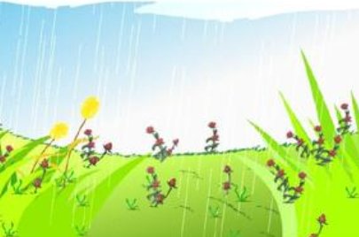 花的学校的主要内容是什么，概括一下