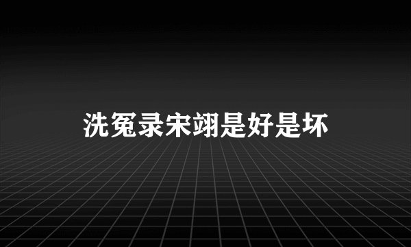 洗冤录宋翊是好是坏