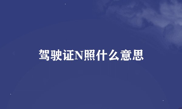 驾驶证N照什么意思