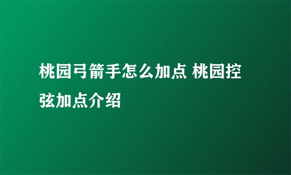 桃园弓箭手怎么加点 桃园控弦加点介绍