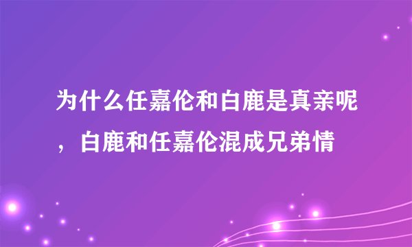 为什么任嘉伦和白鹿是真亲呢，白鹿和任嘉伦混成兄弟情