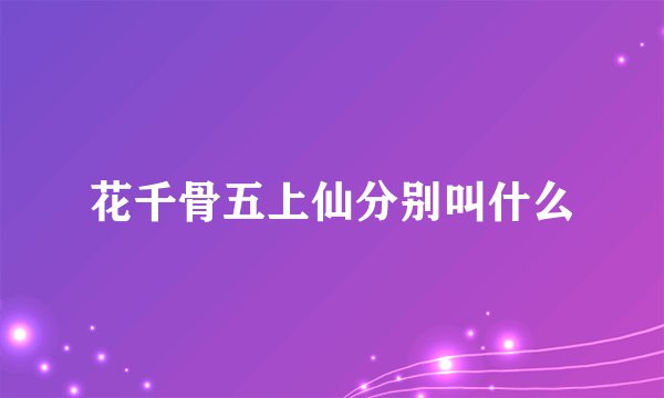 花千骨五上仙分别叫什么