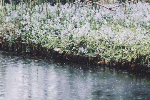 快下雨了,下雨了,雨停了,天晴了,按什么顺序写的？