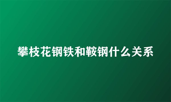 攀枝花钢铁和鞍钢什么关系
