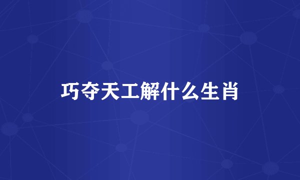 巧夺天工解什么生肖