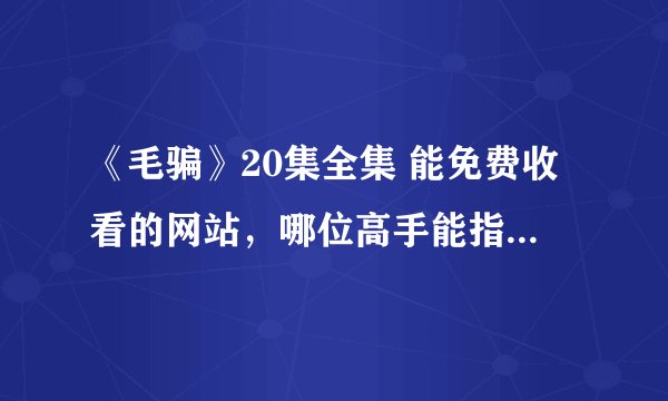 《毛骗》20集全集 能免费收看的网站，哪位高手能指点一下，别发被封的网站