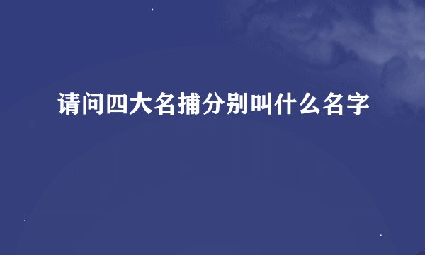 请问四大名捕分别叫什么名字