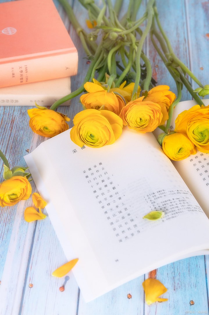 看了让人湿透的说说