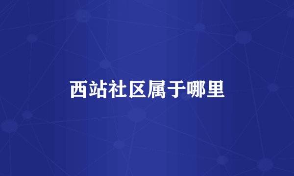 西站社区属于哪里
