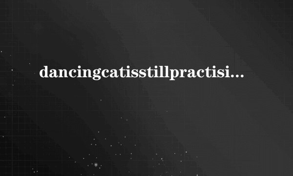 dancingcatisstillpractisingatschooldancingcats简介