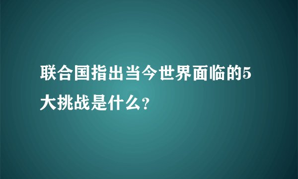 联合国指出当今世界面临的5大挑战是什么？